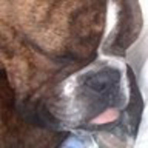 Meet your Posher, Starr